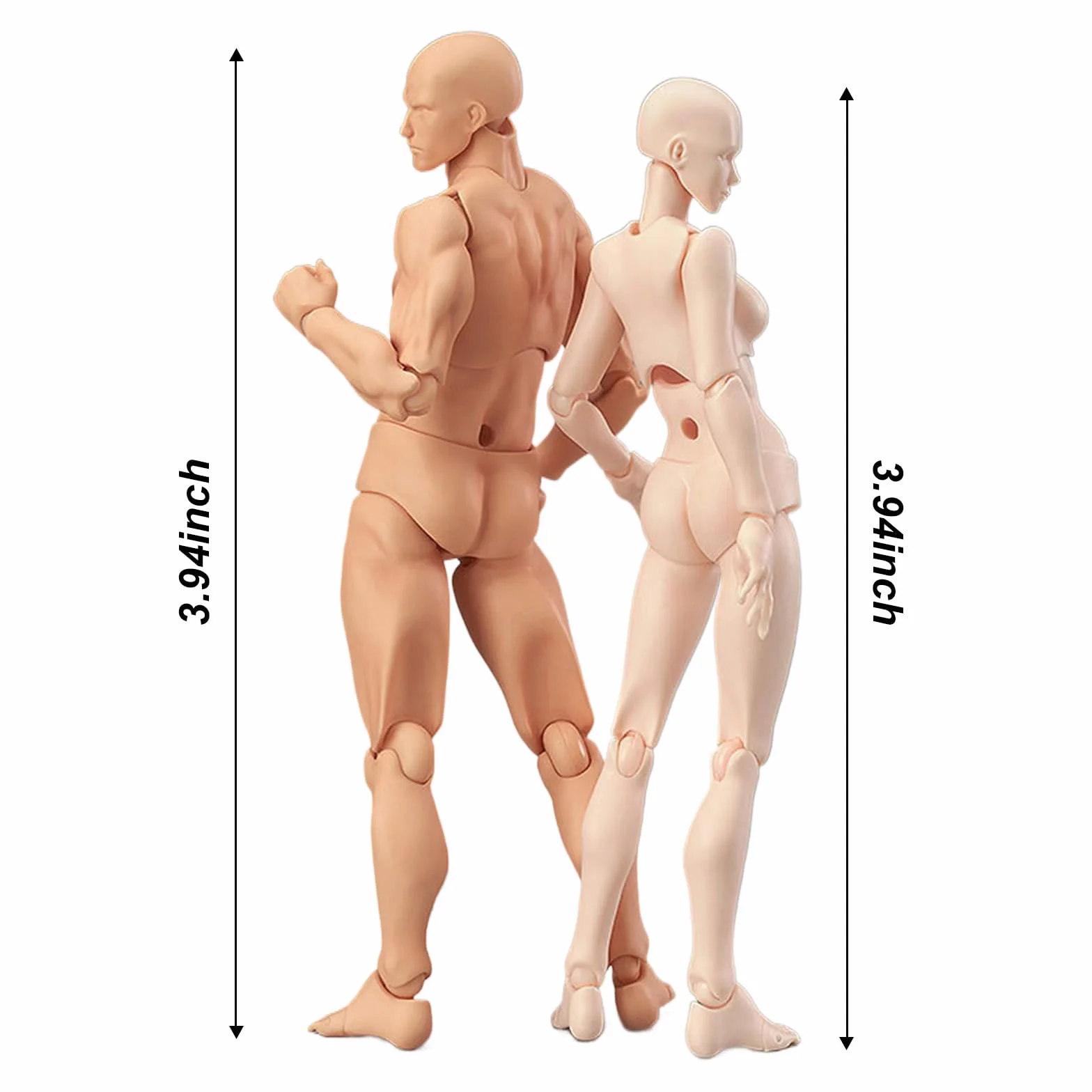 Esenlong Artikulierte Schaufensterpuppe Gliederpuppe Männlich Weiblich Menschlicher Körper - Modell mit Ständer Flexible Manikin Puppe Klein mit Gelenken - Kunstfigur zum Malen und Zeichnen
